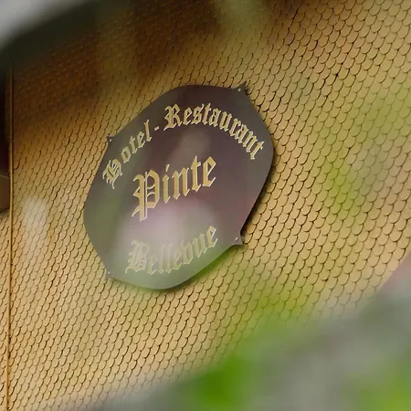 Отель Pinte 3*